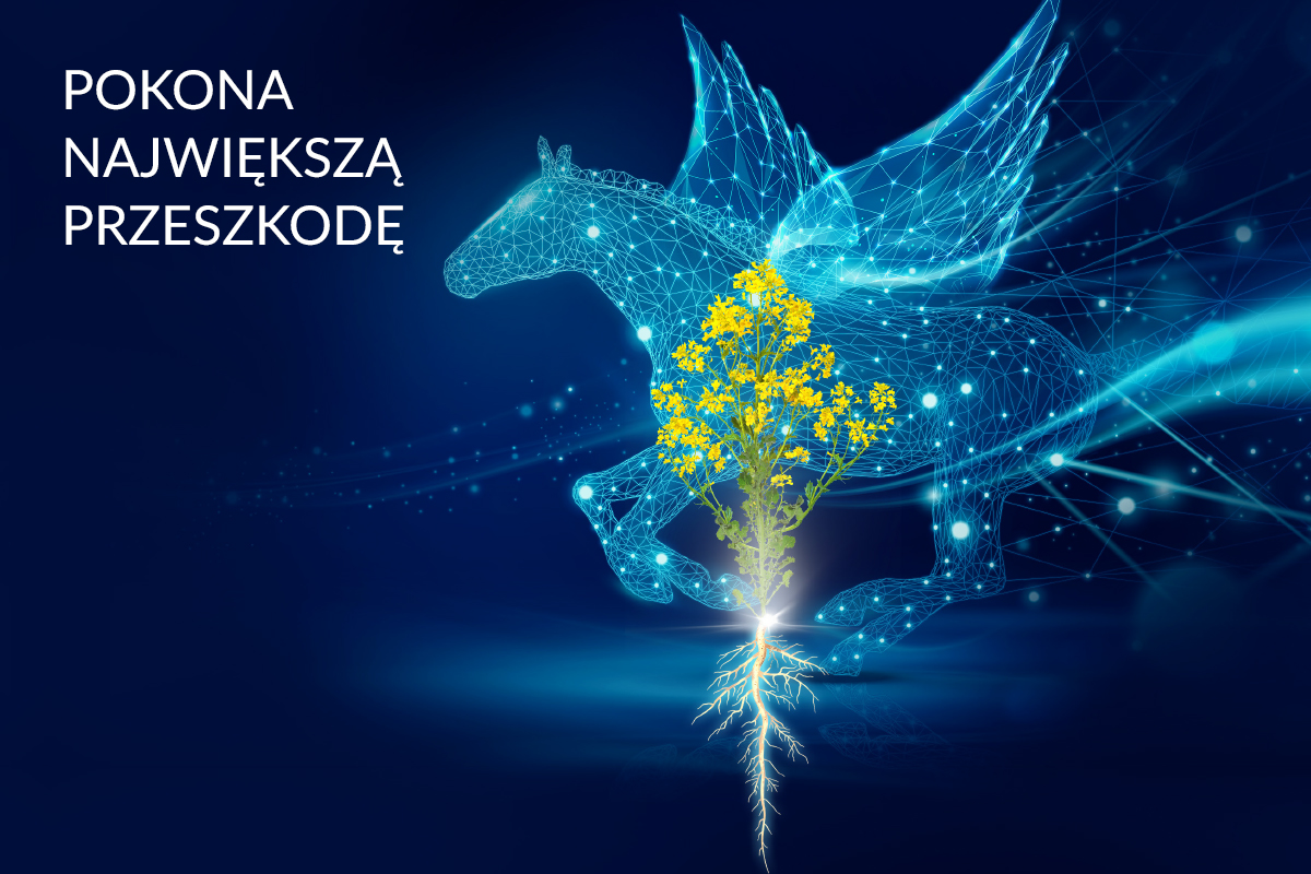 PEGAZZUS F1 kiłotolerancyjna