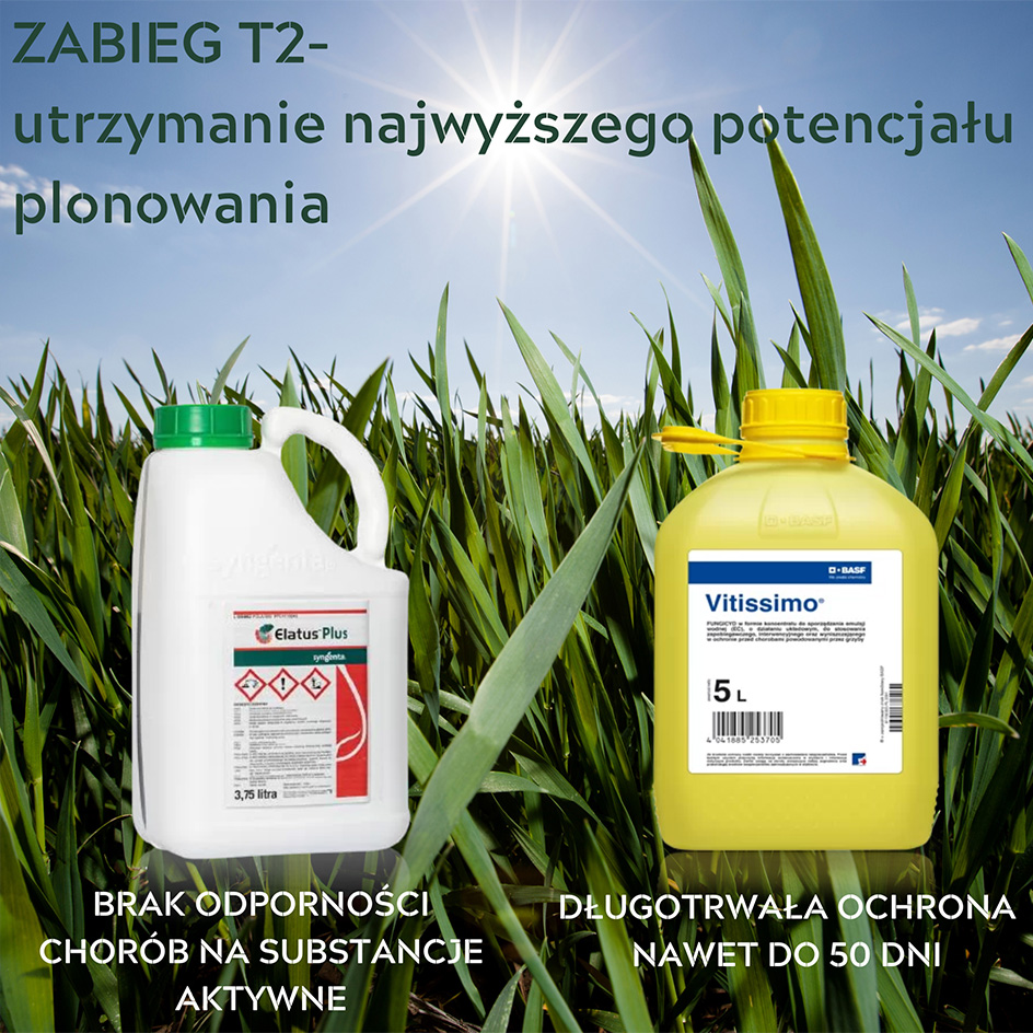 Zabieg T2 – czyli walka o utrzymanie najwyższego potencjału plonowania zbóż